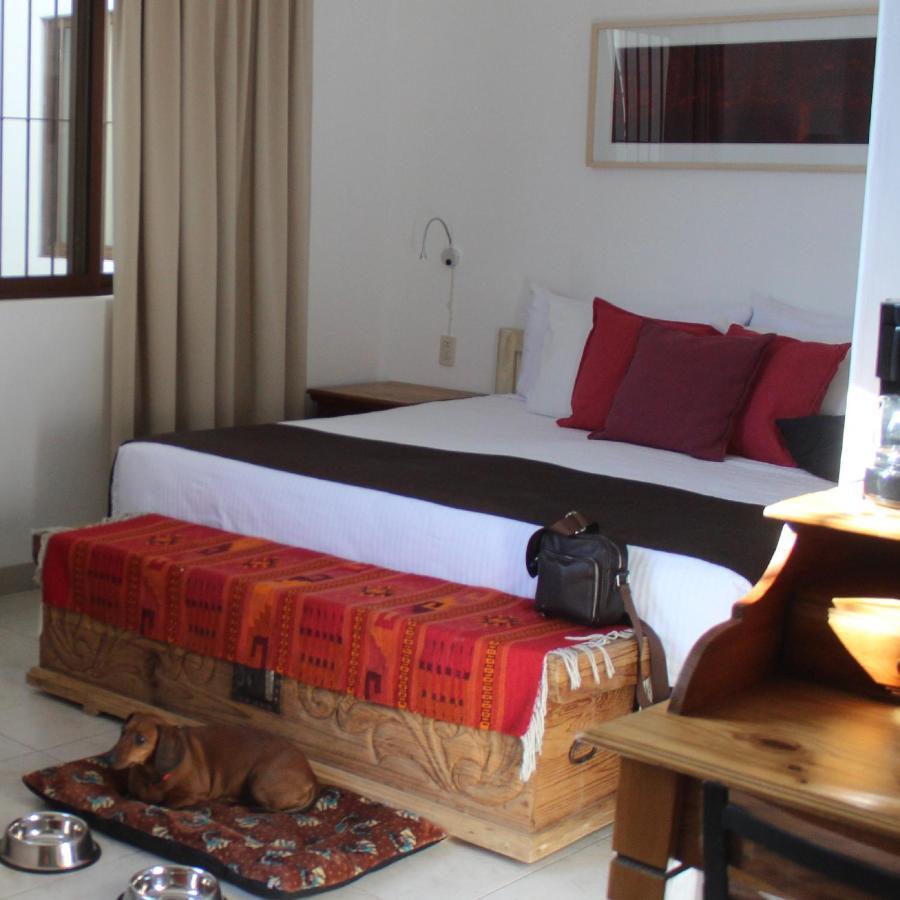 La Cochinilla Hotel Boutique Oaxaca Extérieur photo